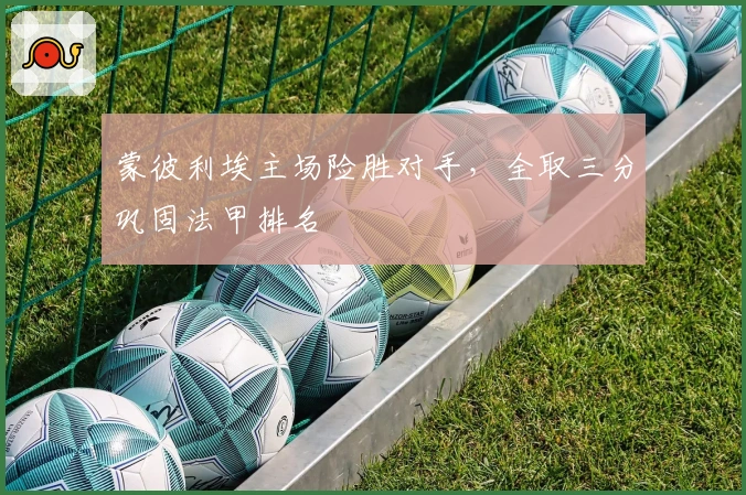 蒙彼利埃主场险胜对手，全取三分巩固法甲排名