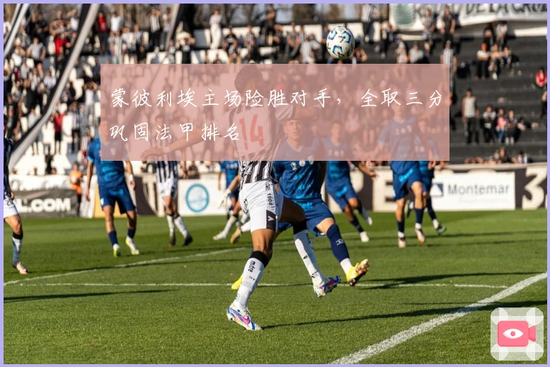 蒙彼利埃主场险胜对手，全取三分巩固法甲排名