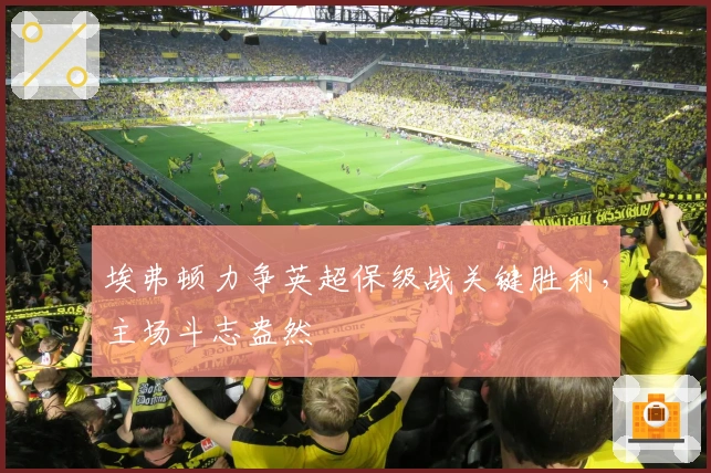 埃弗顿力争英超保级战关键胜利，主场斗志盎然