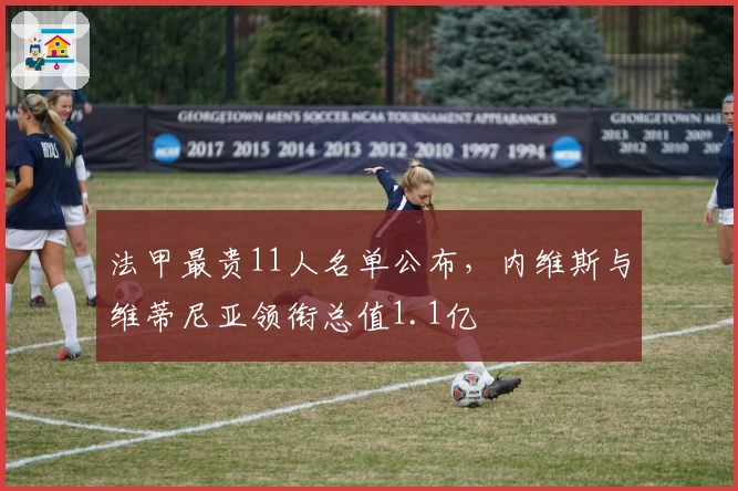 法甲最贵11人名单公布，内维斯与维蒂尼亚领衔总值1.1亿